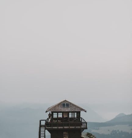 Тепловой насос для бассейна Mountfield: плюсы для нового дома