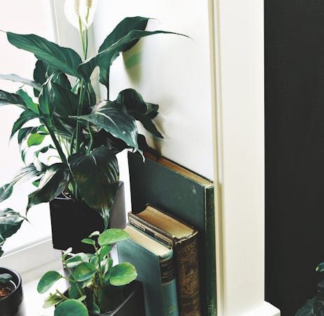 Тепловой насос воздух-вода Meeting: плюсы и минусы