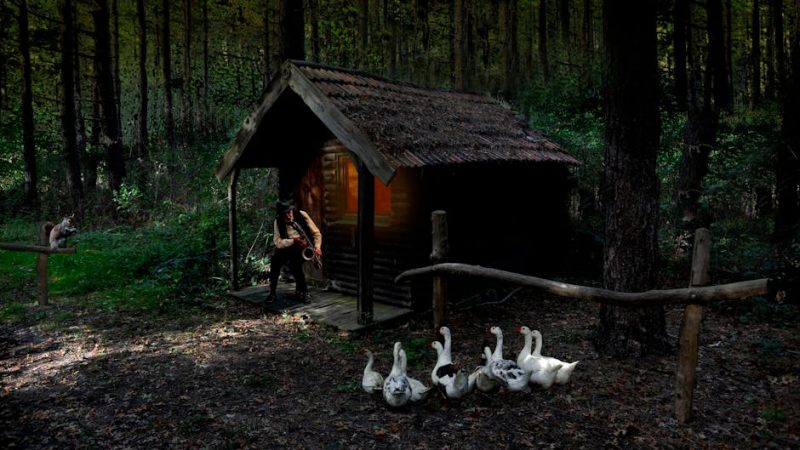 Тепловой насос для бассейна Brilix: как работает в саду