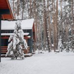 image_856.jpg